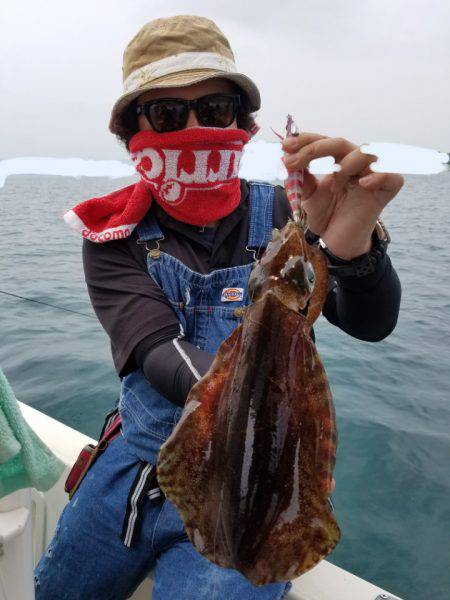 ソルトウォーターガイドフレンズ 釣果