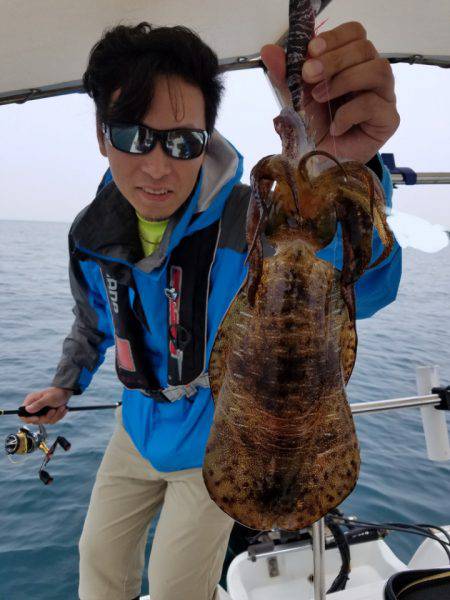 ソルトウォーターガイドフレンズ 釣果