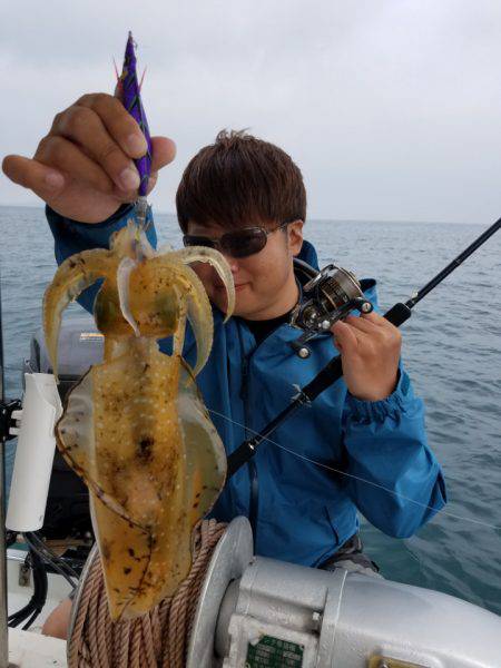 ソルトウォーターガイドフレンズ 釣果