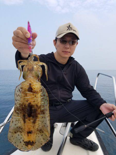 ソルトウォーターガイドフレンズ 釣果