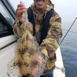 ソルトウォーターガイドフレンズ 釣果