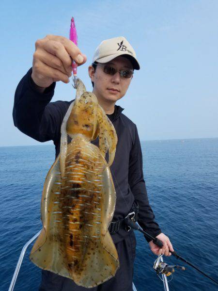 ソルトウォーターガイドフレンズ 釣果