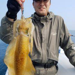 ソルトウォーターガイドフレンズ 釣果