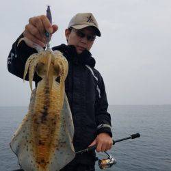 ソルトウォーターガイドフレンズ 釣果