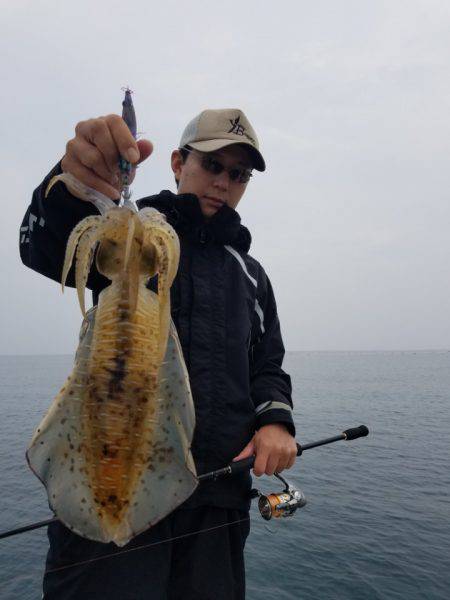 ソルトウォーターガイドフレンズ 釣果