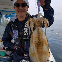 ソルトウォーターガイドフレンズ 釣果