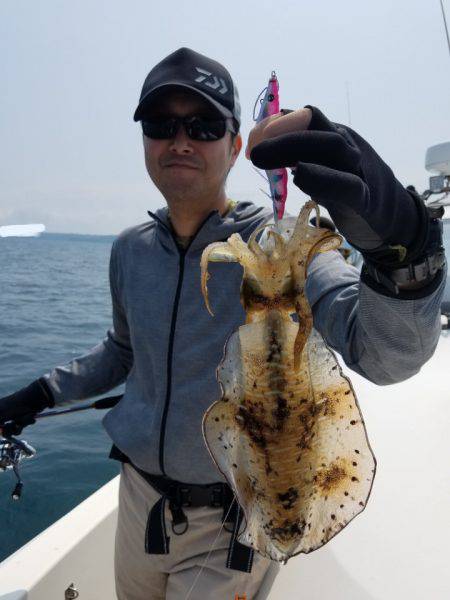 ソルトウォーターガイドフレンズ 釣果