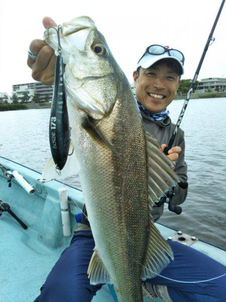 アマテラス 釣果