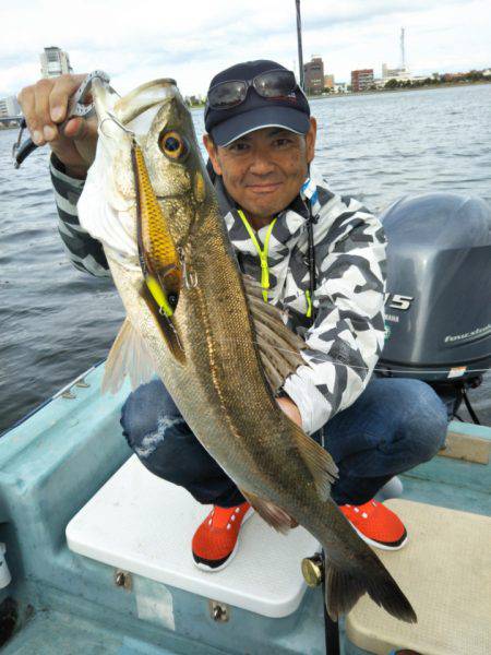 アマテラス 釣果