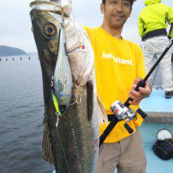 アマテラス 釣果