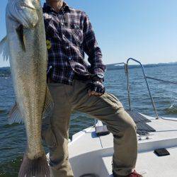 海龍丸（島根） 釣果