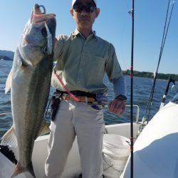 海龍丸（島根） 釣果