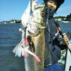 アマテラス 釣果