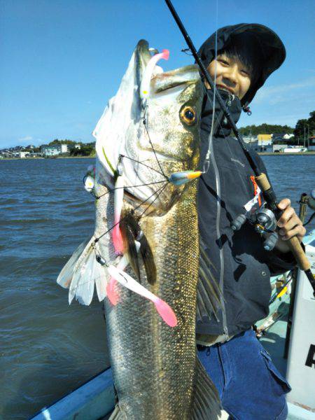 アマテラス 釣果