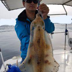 ソルトウォーターガイドフレンズ 釣果