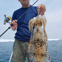 ソルトウォーターガイドフレンズ 釣果