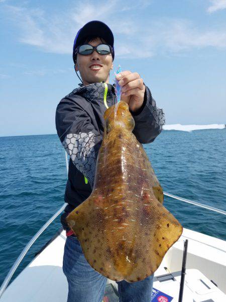 ソルトウォーターガイドフレンズ 釣果