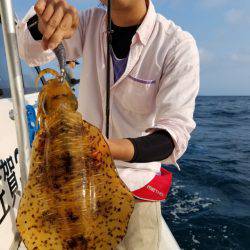 ソルトウォーターガイドフレンズ 釣果