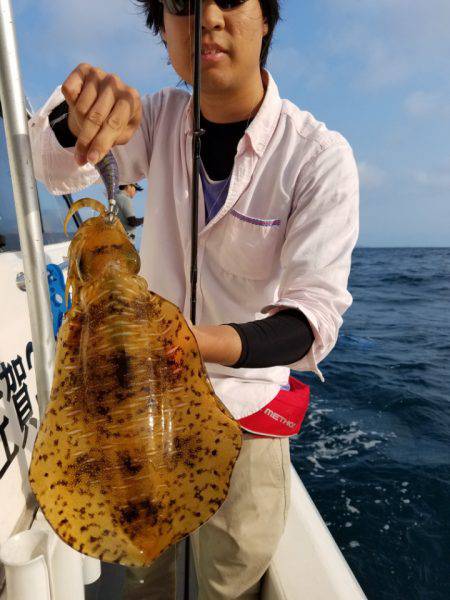 ソルトウォーターガイドフレンズ 釣果