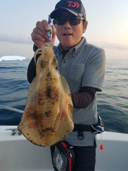 ソルトウォーターガイドフレンズ 釣果