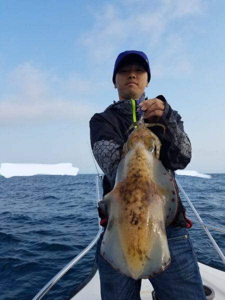 ソルトウォーターガイドフレンズ 釣果