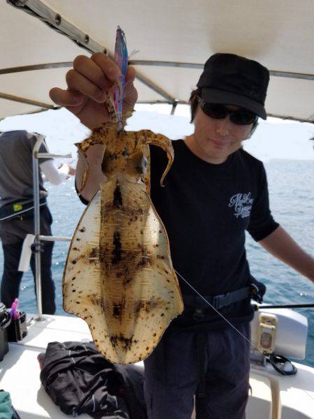 ソルトウォーターガイドフレンズ 釣果