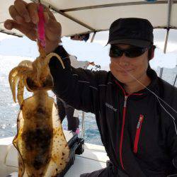 ソルトウォーターガイドフレンズ 釣果