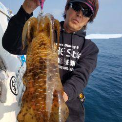 ソルトウォーターガイドフレンズ 釣果