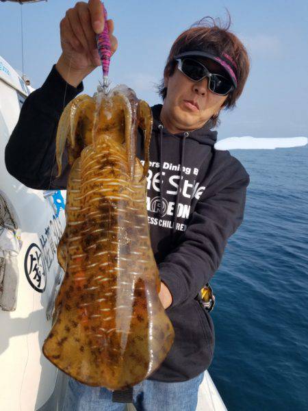 ソルトウォーターガイドフレンズ 釣果