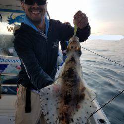 ソルトウォーターガイドフレンズ 釣果