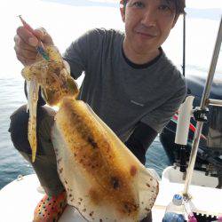 ソルトウォーターガイドフレンズ 釣果