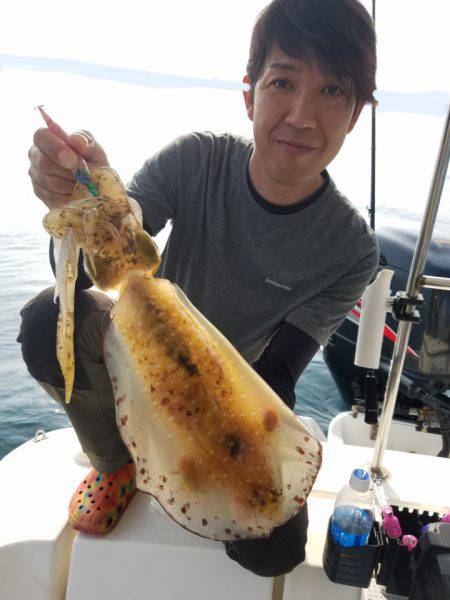 ソルトウォーターガイドフレンズ 釣果