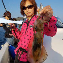 ソルトウォーターガイドフレンズ 釣果