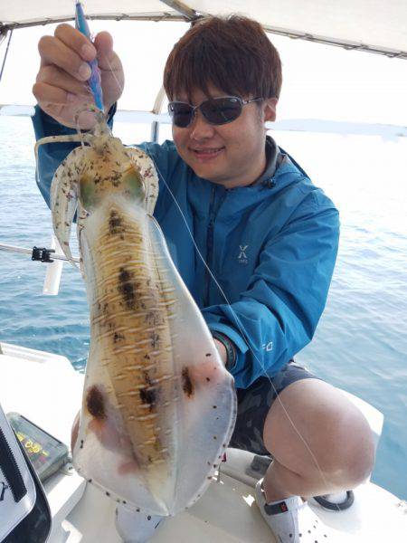 ソルトウォーターガイドフレンズ 釣果