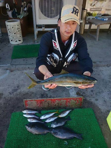 幕島丸 釣果
