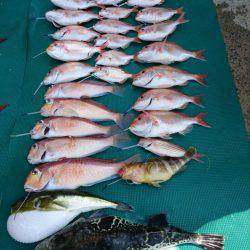 まるいち丸 ZERO-1 釣果