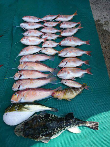 まるいち丸 ZERO-1 釣果