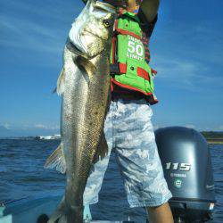 アマテラス 釣果