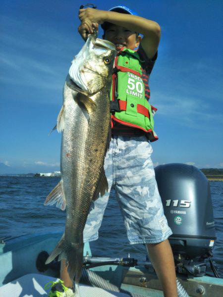 アマテラス 釣果