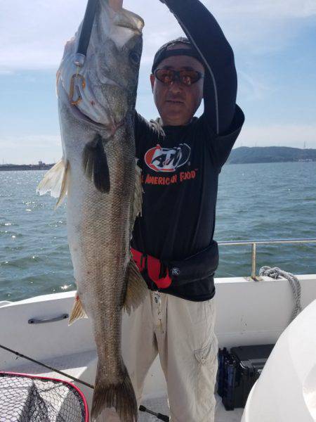 海龍丸（島根） 釣果