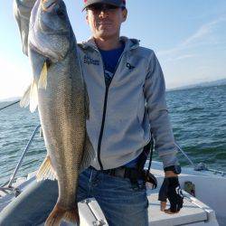 海龍丸（島根） 釣果