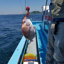 みやけ丸 釣果