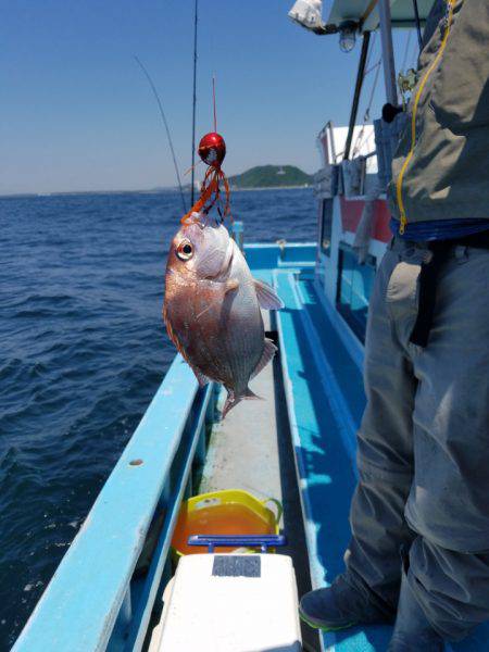 みやけ丸 釣果