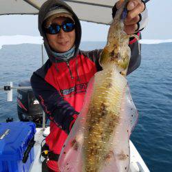 ソルトウォーターガイドフレンズ 釣果