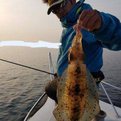 ソルトウォーターガイドフレンズ 釣果