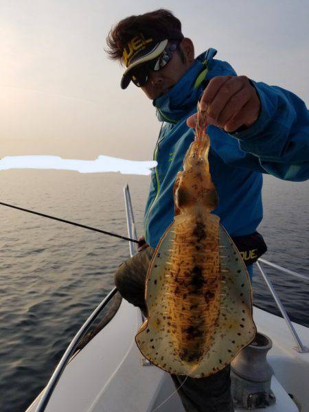 ソルトウォーターガイドフレンズ 釣果