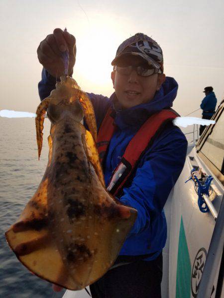 ソルトウォーターガイドフレンズ 釣果