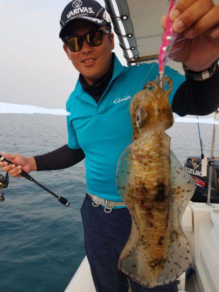 ソルトウォーターガイドフレンズ 釣果