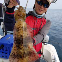 ソルトウォーターガイドフレンズ 釣果