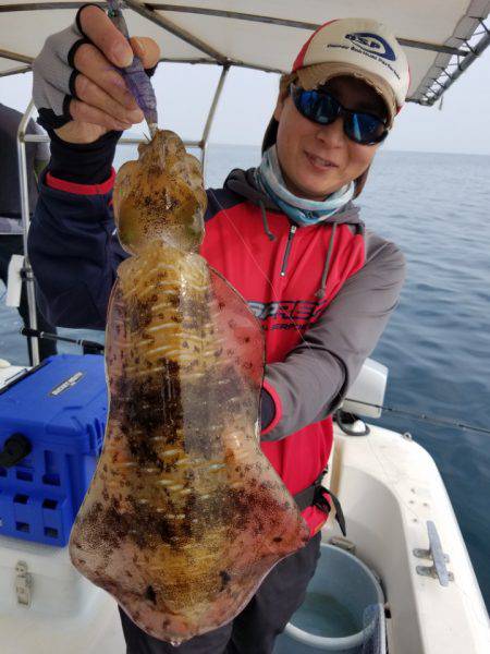 ソルトウォーターガイドフレンズ 釣果